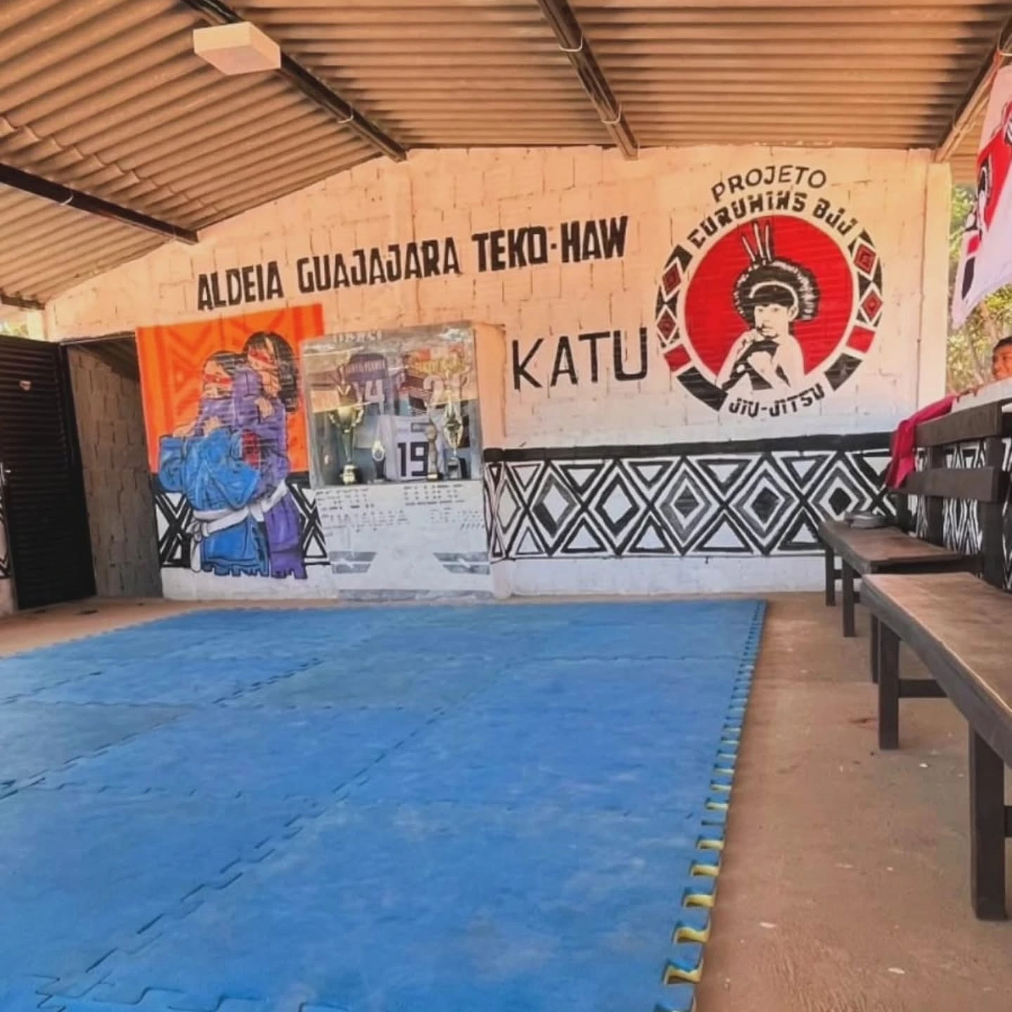 Estrutura do Instituto Projeto Curumins BJJ